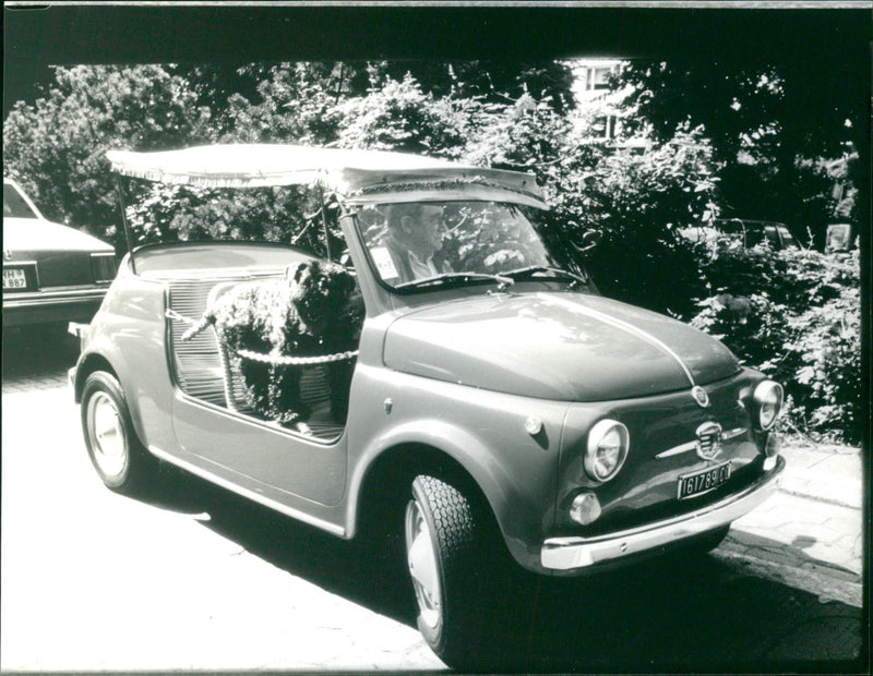 Fiat 500. - Vintage Photograph