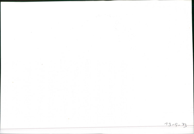 Mercedes Benz 280 S/280 SE/ 350 SE/ 450 SE/ 450 SEL - Vintage Photograph