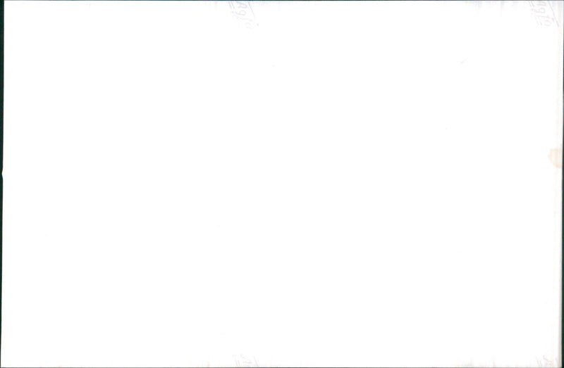 Various cars. - Vintage Photograph