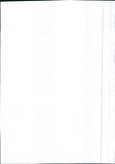 Renault Fuego - Vintage Photograph