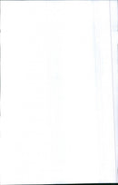 Renault Fuego - Vintage Photograph