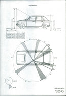 Peugeot 104 - Vintage Photograph