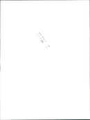 1984 Volkswagen IRVW 3 - Vintage Photograph