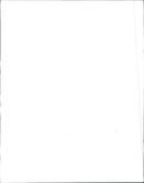 Fiat 124 Special T - Vintage Photograph