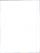 Fiat 124 - Vintage Photograph