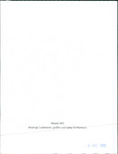 Mazda 323 - Vintage Photograph