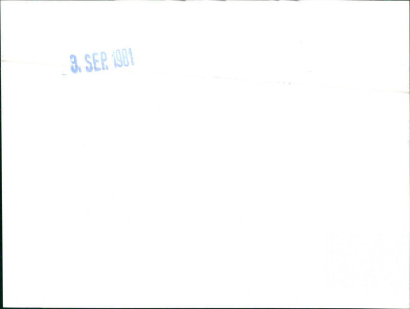 VW Herbert Schafer - Vintage Photograph