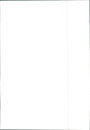 Renault 30 - Vintage Photograph