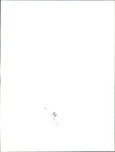 1984 Volkswagen IRVW 3 - Vintage Photograph