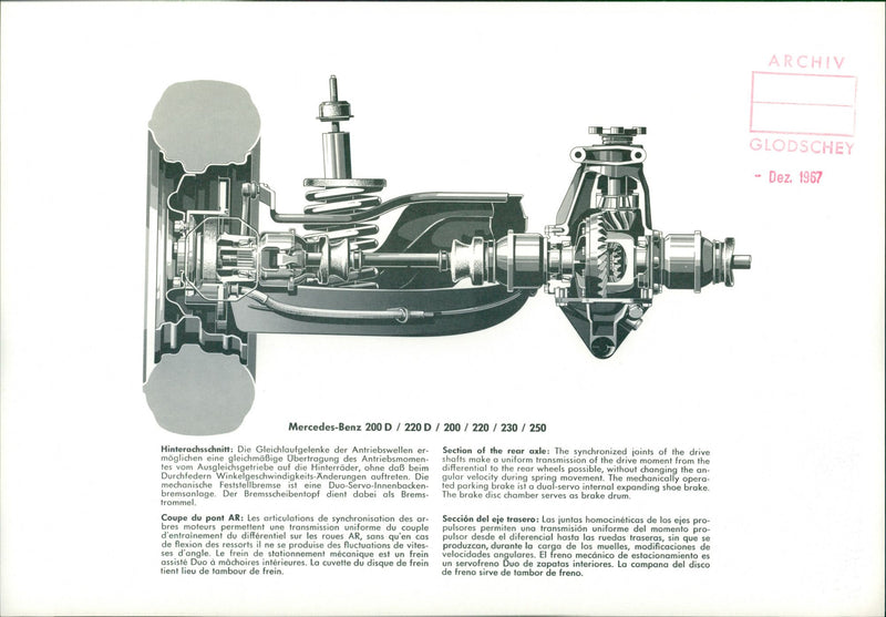 Mercedes-Benz 200 D/ 220 D/ 200/ 220/ 230/ 250 - Vintage Photograph