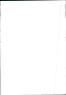 Renault 11 - Vintage Photograph