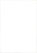 Renault 11 - Vintage Photograph