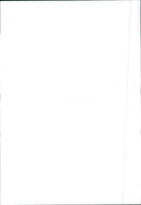 Renault 11 - Vintage Photograph