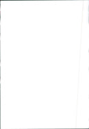 Renault 11 - Vintage Photograph