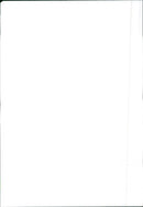 Renault 11 - Vintage Photograph