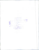 Volkswagen Limousine - Vintage Photograph