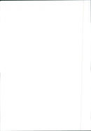 Renault 11 - Vintage Photograph