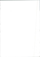 Renault 11 - Vintage Photograph