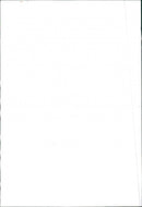 1966 Fiat 124 - Vintage Photograph