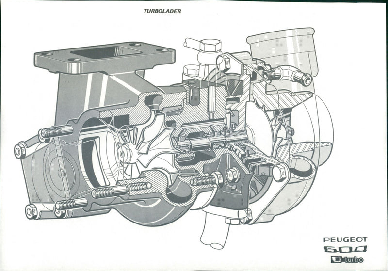 Peugeot 604 D-Turbo - Vintage Photograph