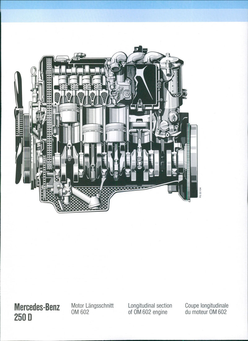 Mercedes-Benz 250 D - Vintage Photograph