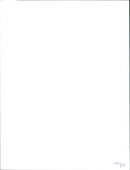 1984 Volkswagen Passat Variant Syncro - Vintage Photograph