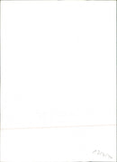 Mercedes-Benz 240D 3.0 - Vintage Photograph