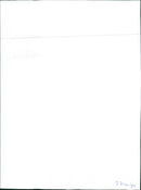 Mercedes-Benz 250 D, 300 D, 260 E and 300 E - Vintage Photograph