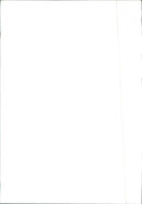 Mercedes-Benz 200 D / 220 D / 200 / 220 / 230 / 250 - Vintage Photograph