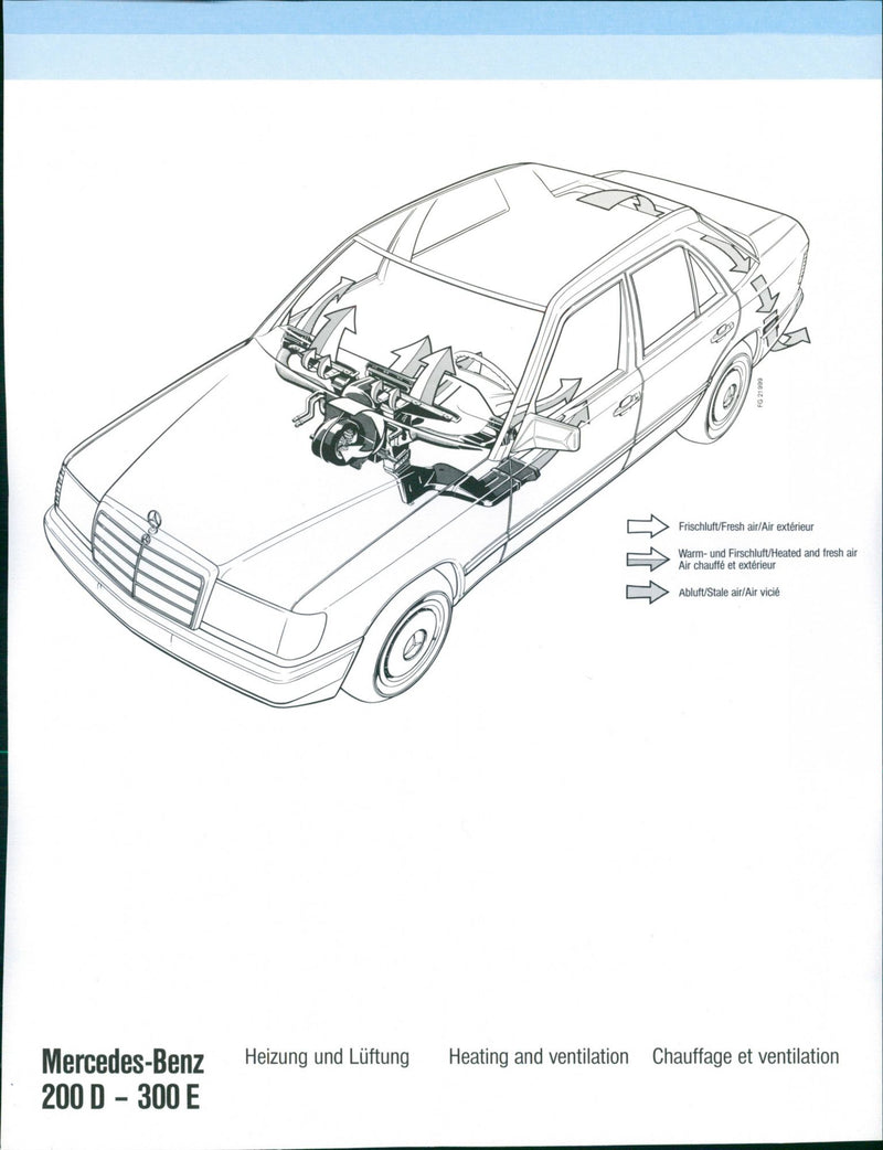 Mercedes-Benz 200 D - 300 E - Vintage Photograph