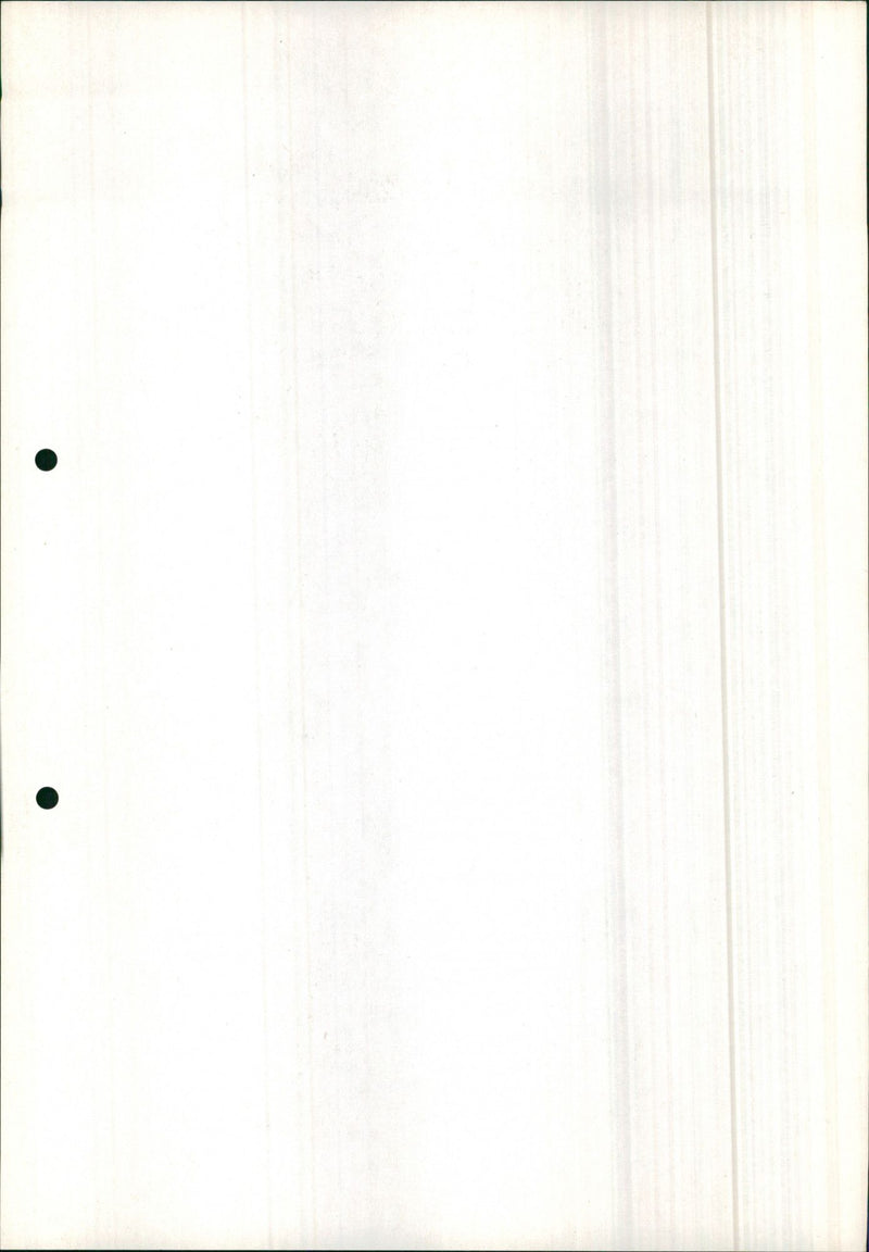 Mercedes Benz 250 E Coupe - Vintage Photograph