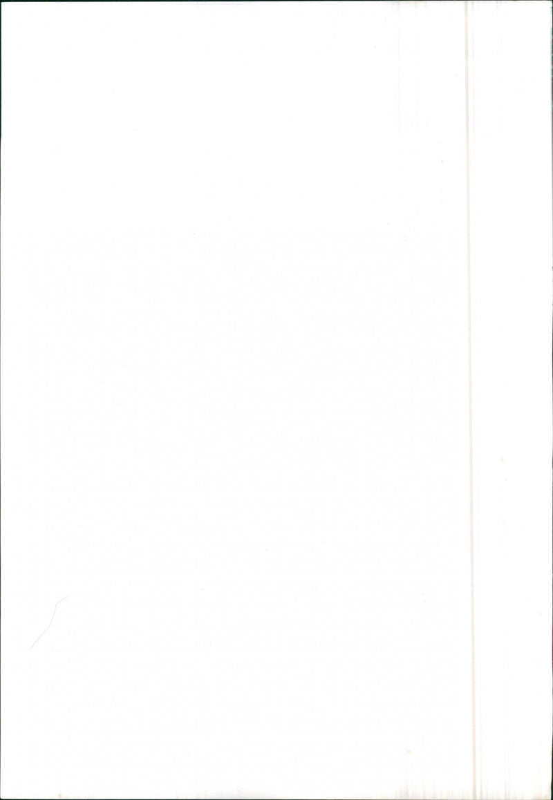 Mercedes Benz 123 T Kombi - Vintage Photograph