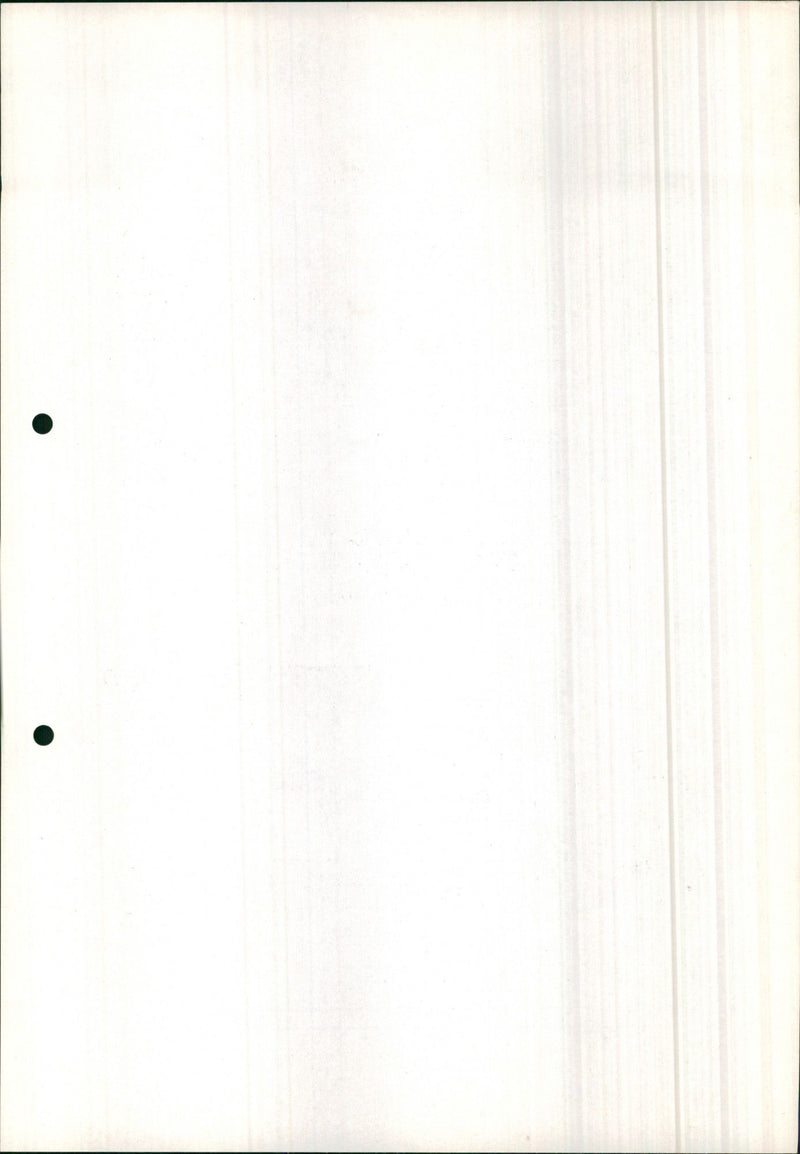 Mercedes Benz 250 E Coupe - Vintage Photograph