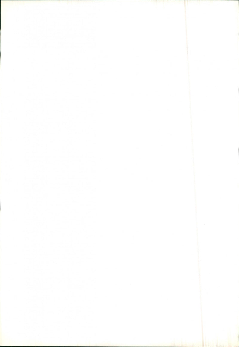 Mercedes Benz 280 SL - Vintage Photograph