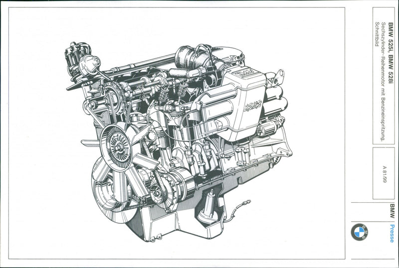 BMW 525i, BMW 528i - Vintage Photograph