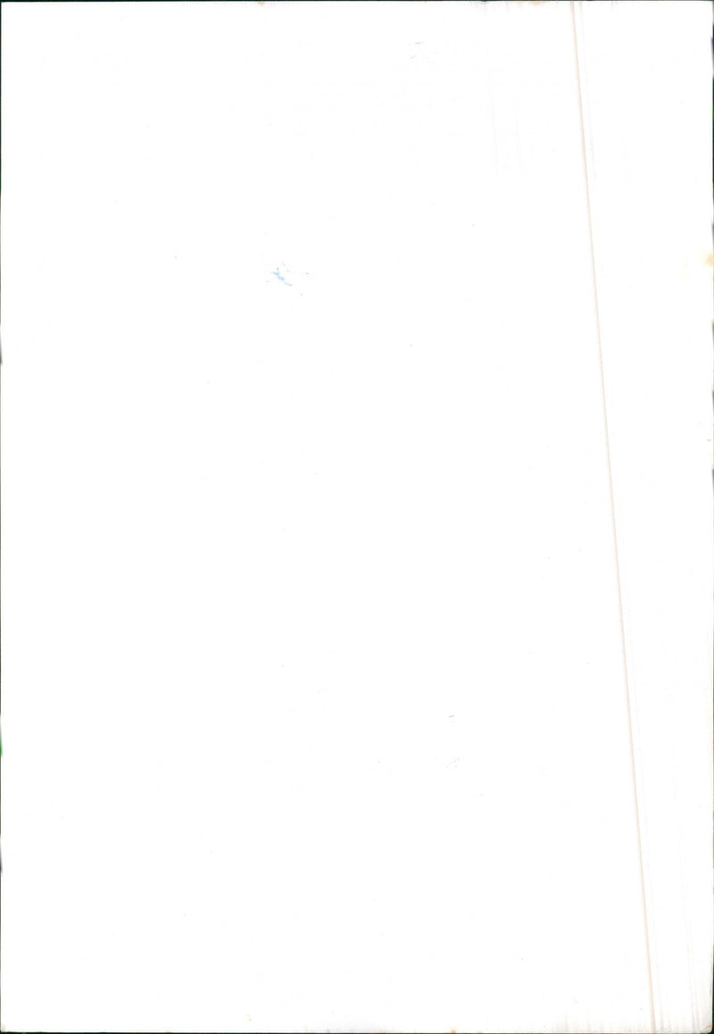 Mercedes Benz 240TD / 300TD / 230T / 250T / 280TE - Vintage Photograph