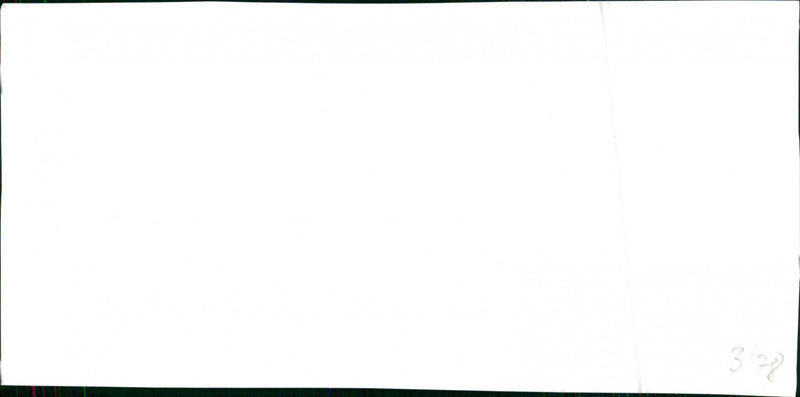 Mercedes Benz 250 T - Vintage Photograph