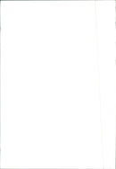 Mercedes-Benz 200 D / 220 D / 200 / 220 / 230 / 250 - Vintage Photograph