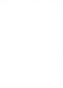 Fiat Coupe - Vintage Photograph