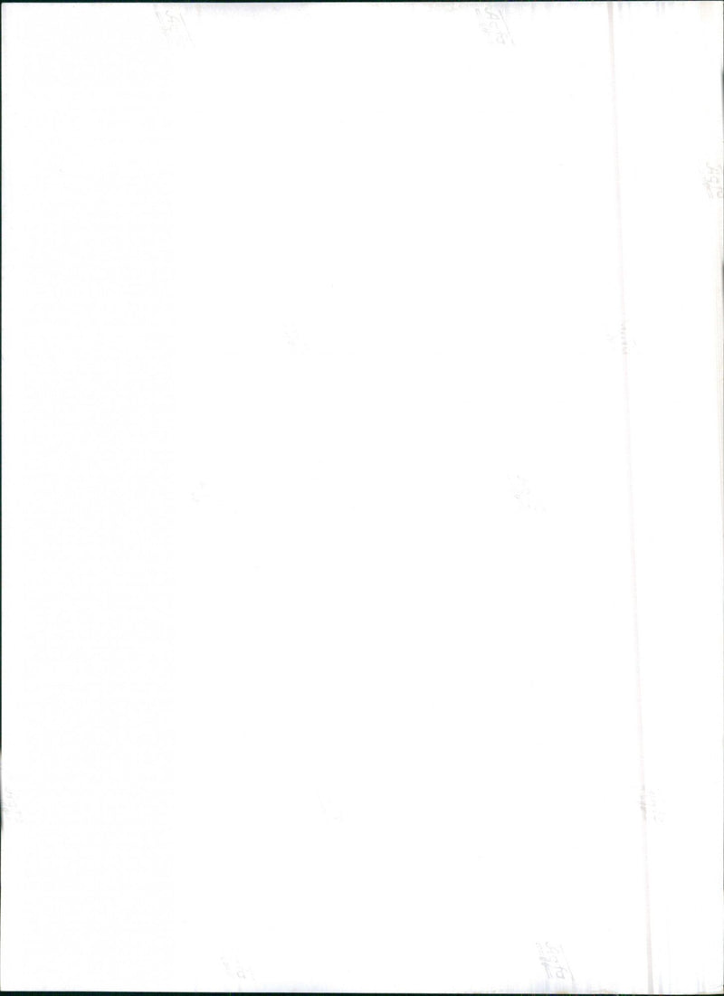 1962 Opel Kadett - Vintage Photograph