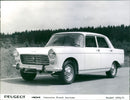 Peugeot 404 - Vintage Photograph