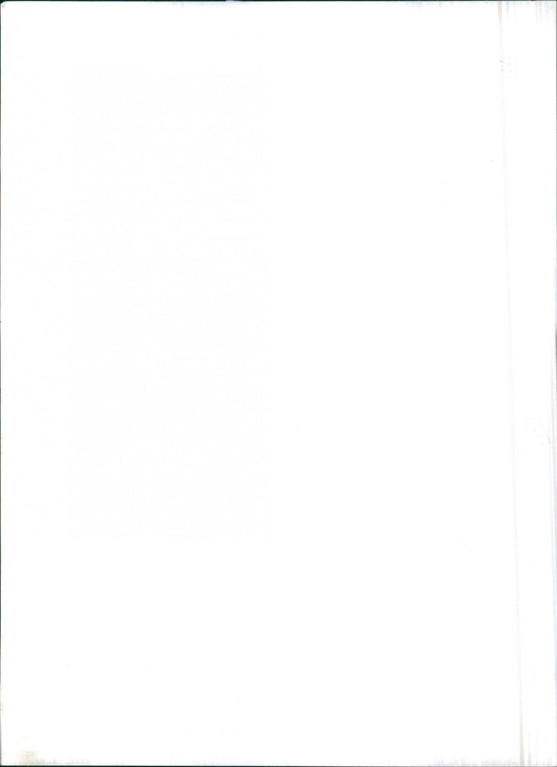 1962 Opel Kadett - Vintage Photograph