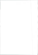 Peugeot 309 - Vintage Photograph