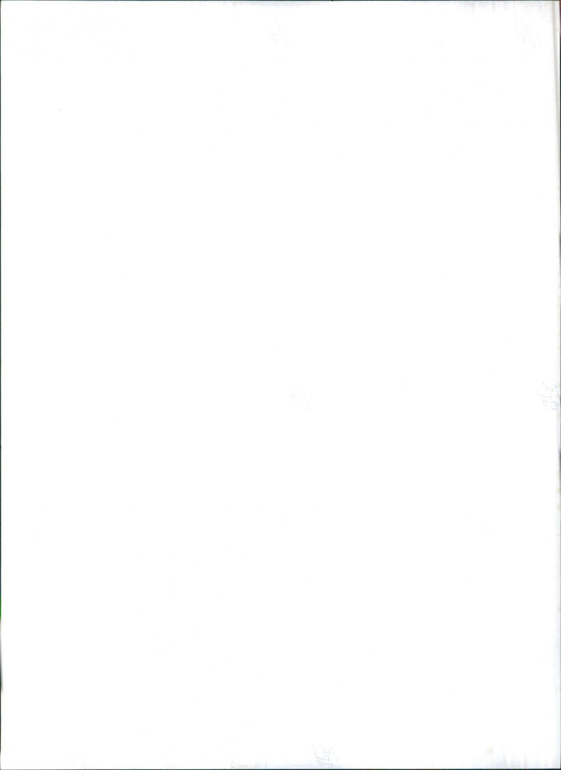 1962 Opel Car Van 1000 - Vintage Photograph