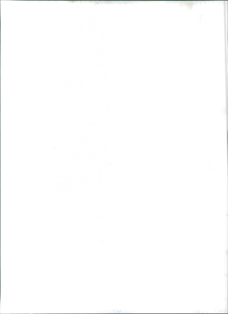 1962 Opel Kadett - Vintage Photograph