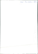 Nissan Volkswagen Santana - Vintage Photograph