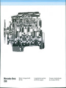 1984 Mercedes-Benz 200 - Vintage Photograph