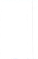 1991 Volkswagen - Vintage Photograph