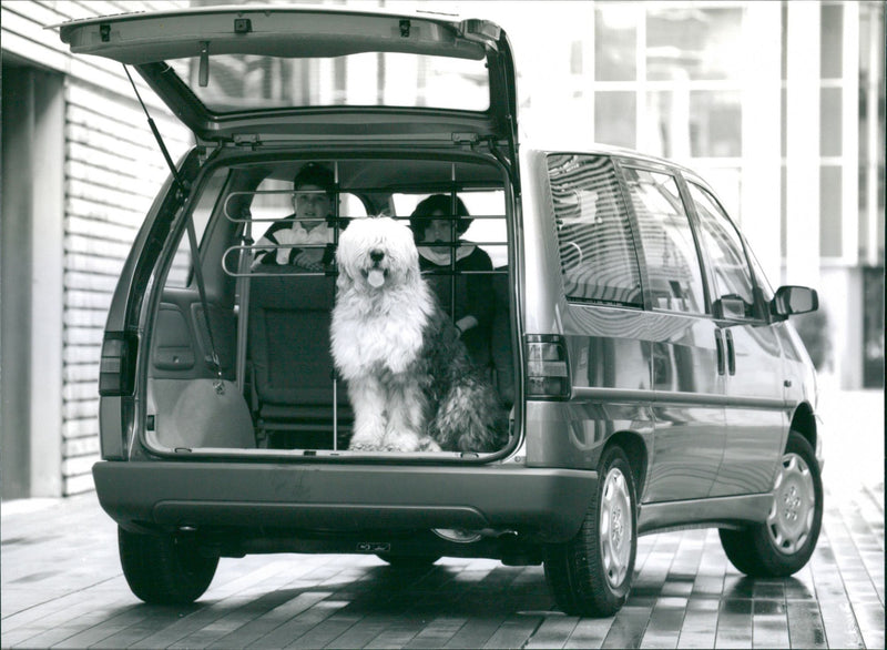 Peugeot 806 SR 1994 - Vintage Photograph
