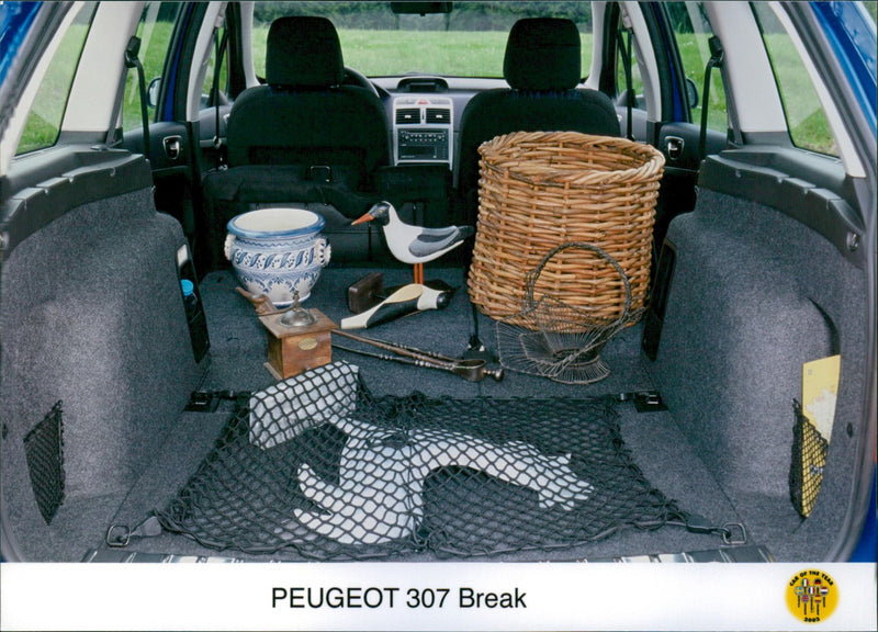 Peugeot 307 Break - Vintage Photograph